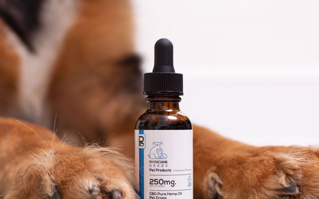 CBD For Pets: Does it Work?